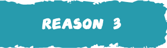REASON 3