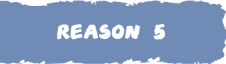 REASON 5