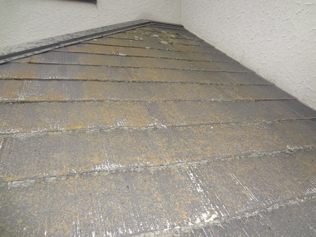 前橋市 屋根塗装 コケ ミヤケン