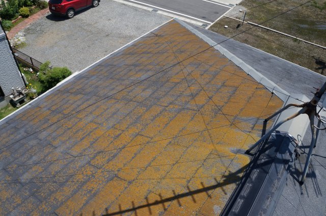 前橋市 外壁塗装工事 屋根コケの付着 お客様の声 ミヤケン