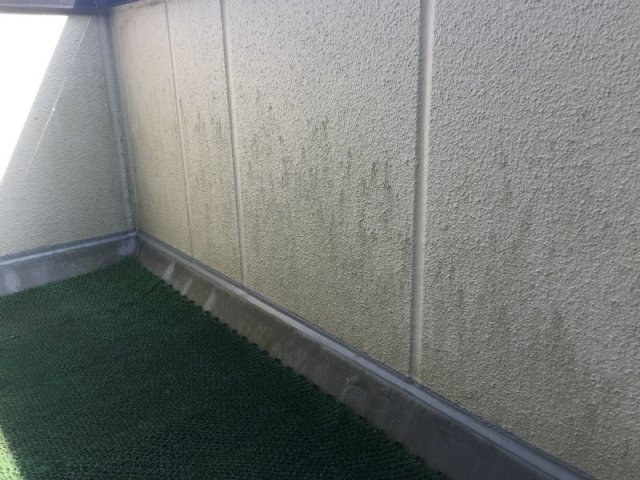 高崎市 外壁 コケ ミヤケン