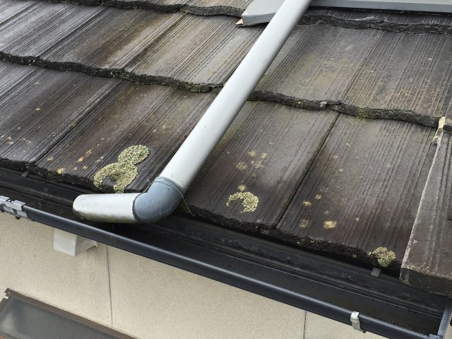 桐生市 屋根 コケ ミヤケン