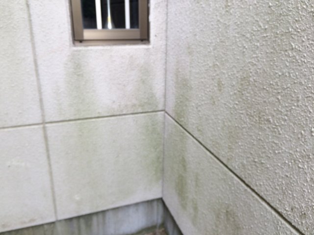渋川市 外壁 コケ ミヤケン