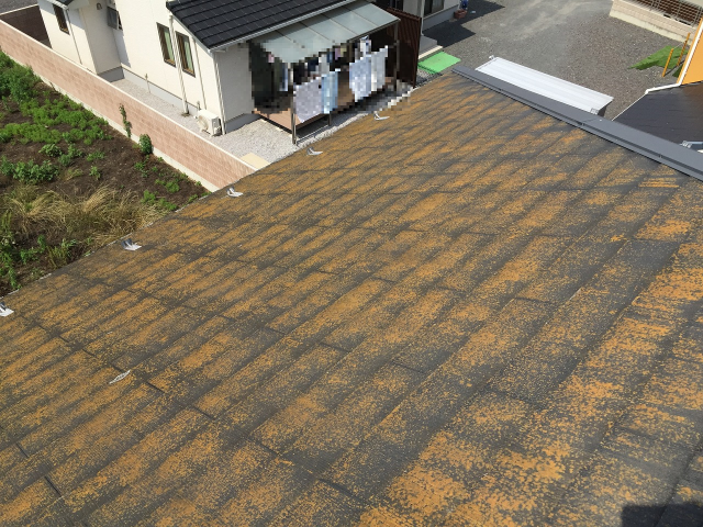 太田市 屋根 コケ ミヤケン