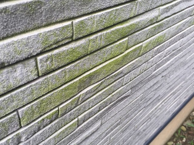 高崎市 外壁塗装 コケ ミヤケン