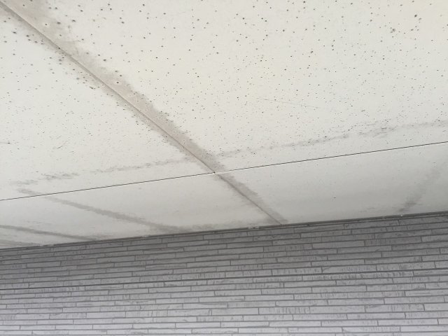 高崎市 軒裏天井 シミ ミヤケン