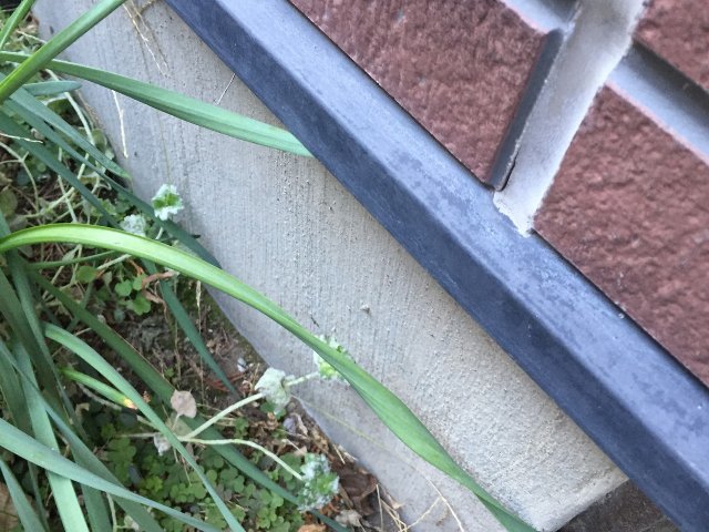 高崎市 水切り 色あせ ミヤケン