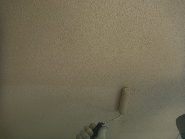 RIMG0054229安中市 屋根外壁塗装工事 外壁上塗り2回目 お客様の声 ミヤケン9