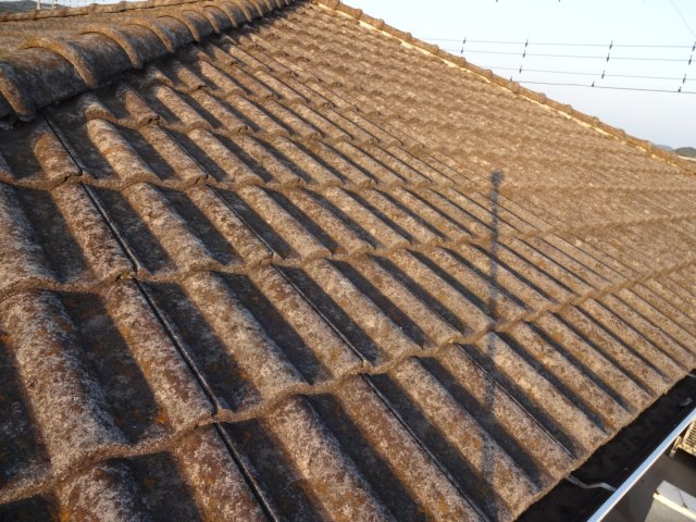 太田市 屋根が壁塗装工事 屋根コケの付着 お客様の声 ミヤケン