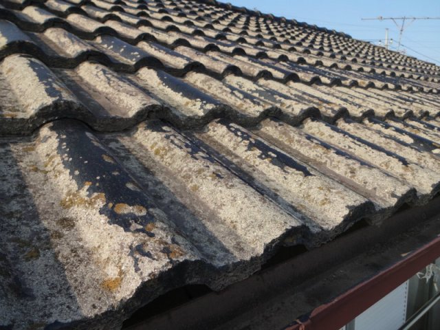 前橋市 屋根外壁塗装工事 屋根コケの付着 お客様の声 ミヤケン