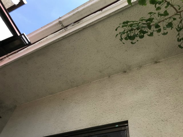高崎市 軒天 汚れ ミヤケン