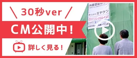 74c6ebff1353be3c7c8c68b5336bd3bd