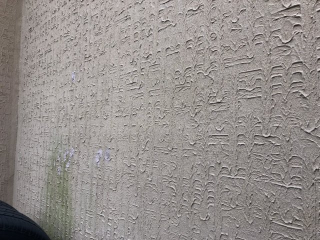 前橋市 外壁 コケの付着 ミヤケン