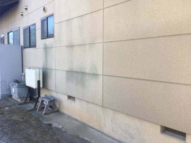 北群馬郡榛東村 外壁 コケの付着 ミヤケン