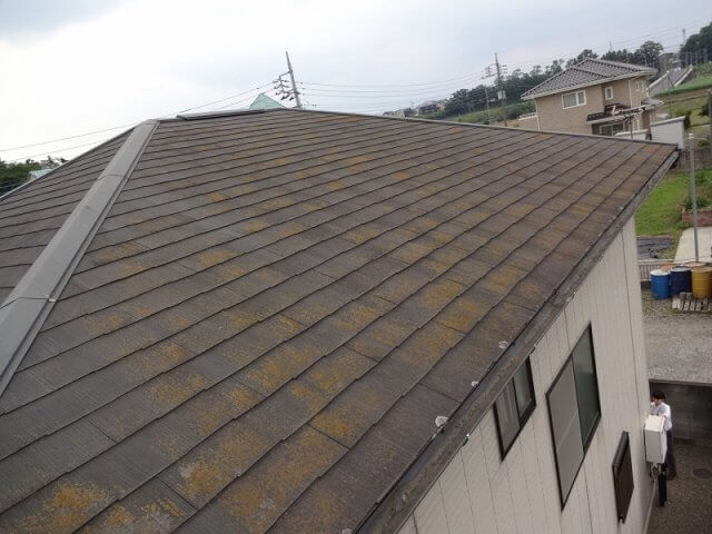 屋根 コケ