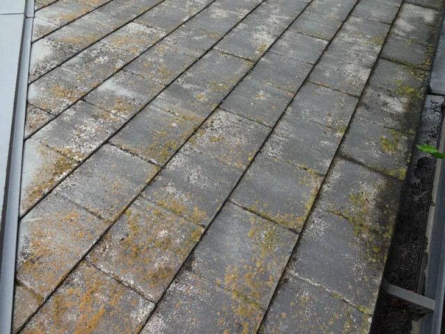 甘楽郡甘楽町 屋根塗装 コケの付着 ミヤケン