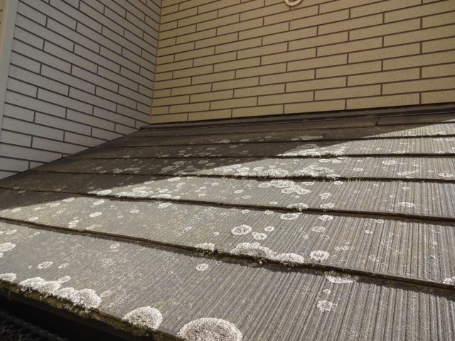 前橋市 屋根塗装工事 屋根コケの付着 お客様の声 ミヤケン