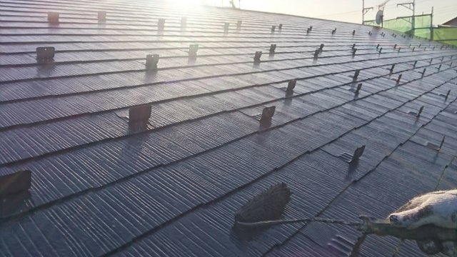 201932_190302_0040