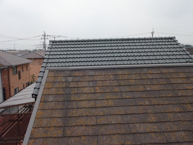 屋根 コケの発生