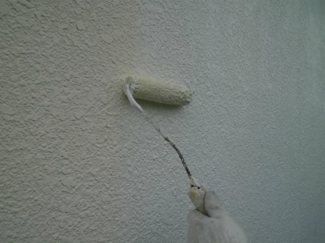 sCIMG0611