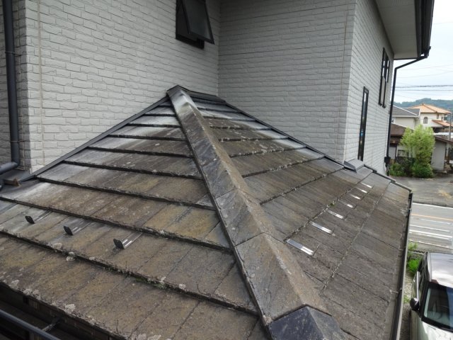 瓦 コケ