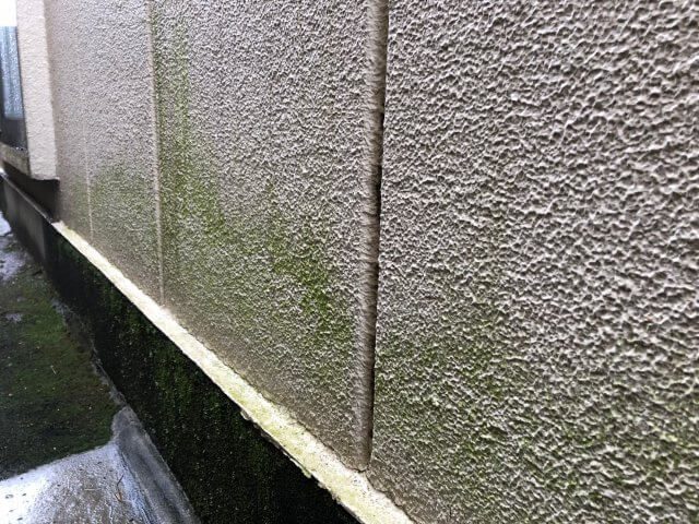 前橋市 外壁 コケの付着 ミヤケン