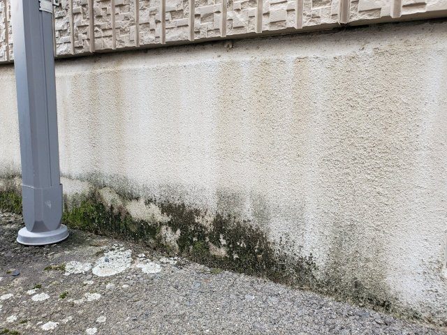 前橋市 基礎 コケの付着 ミヤケン