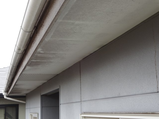 軒天 汚れの付着