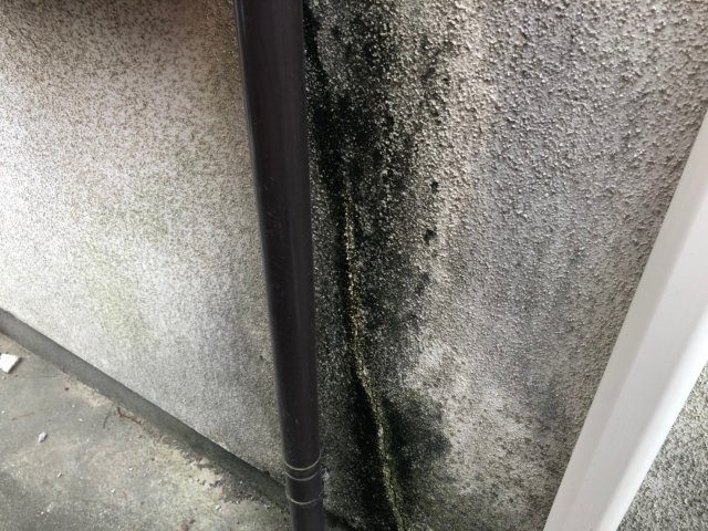前橋市 外壁 コケの付着 ミヤケン