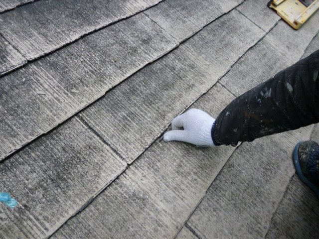 sP1000121