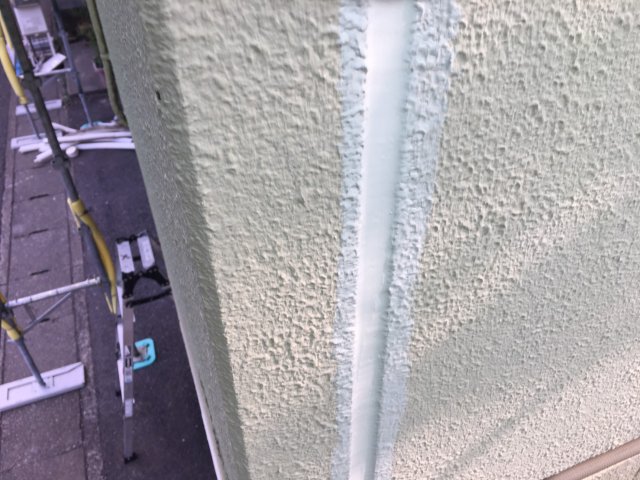 S__11386907