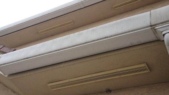 雨樋 汚れ