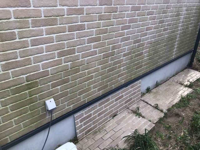 前橋市 外壁塗装工事 外壁コケの付着 お客様の声 ミヤケン