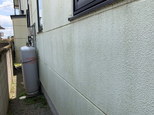 外壁 コケ