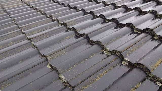 太田市 屋根外壁塗装工事 屋根のコケ・藻の付着 お客様の声 ミヤケン