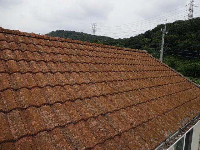 屋根 コケ