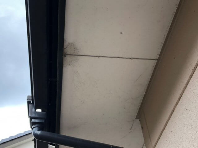 軒裏天井 汚れ