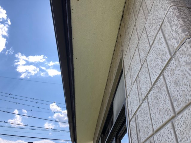 軒裏天井 塗装