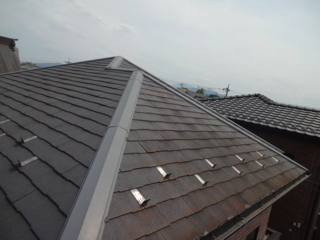 屋根 コケ