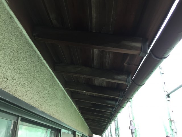 木 軒裏天井