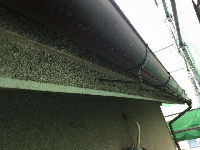 雨樋 塗装