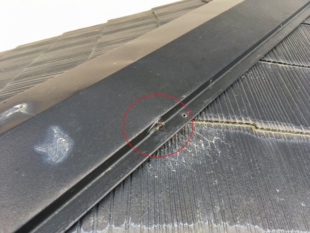 棟板金 釘浮き