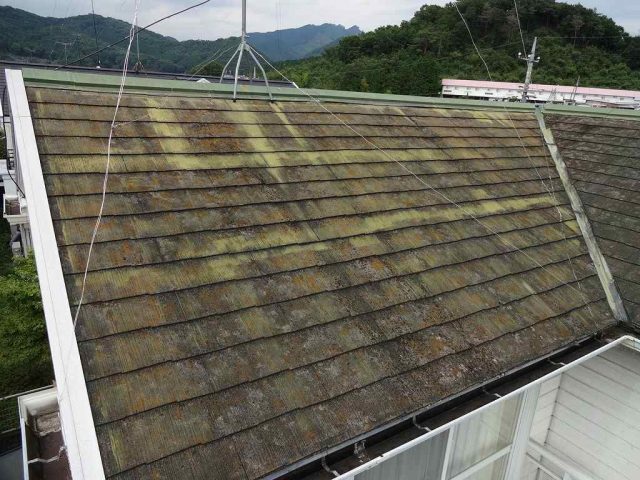 桐生市 屋根外壁塗装工事 屋根コケの付着 お客様の声 ミヤケン