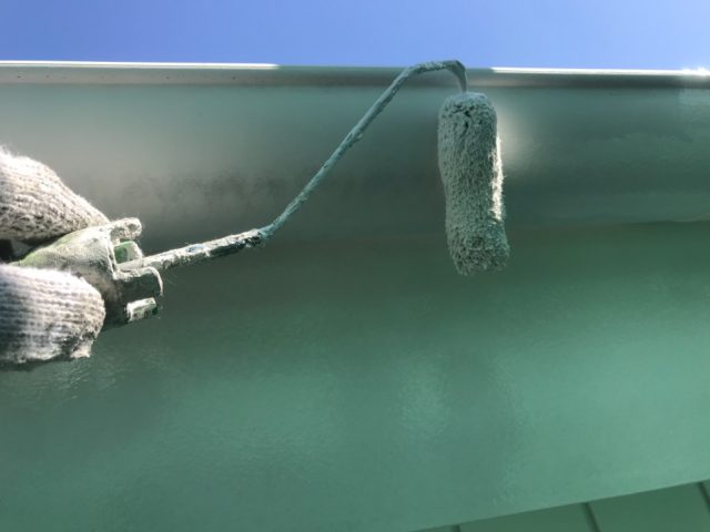 雨樋 上塗り作業