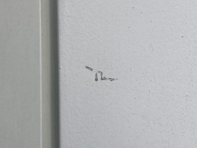 外壁 塗膜のはがれ