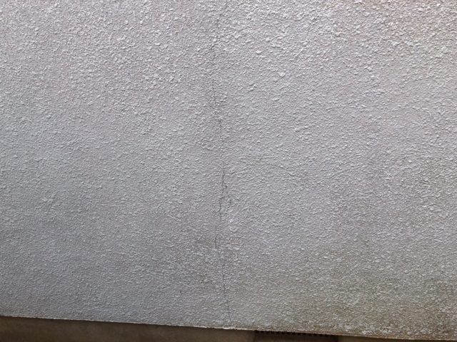 外壁 コケ