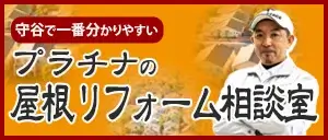 プラチナコーティング様