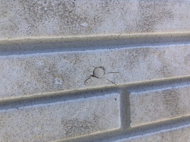 外壁ヒビ
