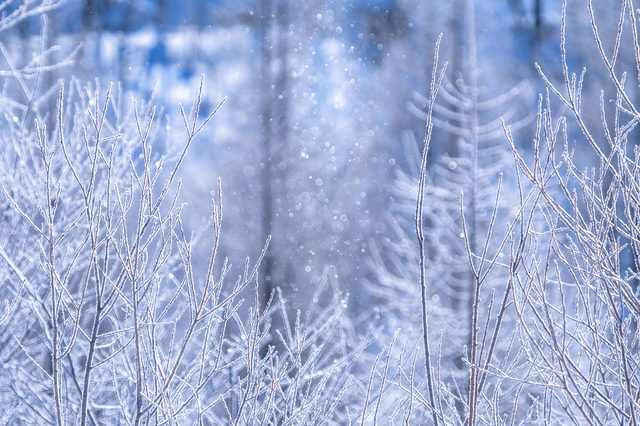 雪