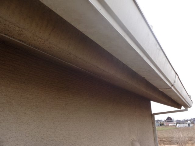 雨樋・破風板
